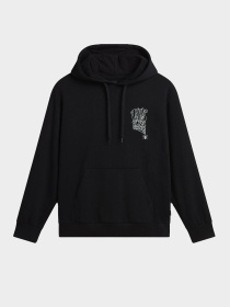 Худи и свитшоты Vans модель VN000JDUBLK1 Фото