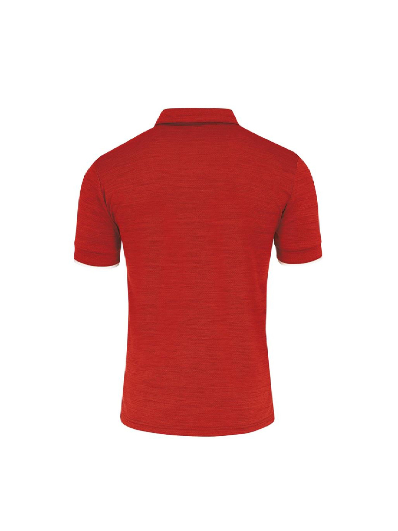 Поло Errea модель 8056225253549 Фото