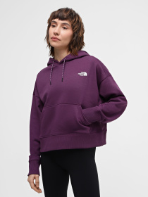 Худи и свитшоты The North Face модель NF0A880PV6V1 Фото