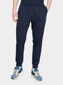 Штаны спортивные Lotto модель 217576_1CI Фото