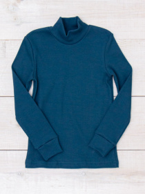 Водолазка Носи своє модель 6068-019-murena Водолазка Носи своє модель 6068-019-murena Фото