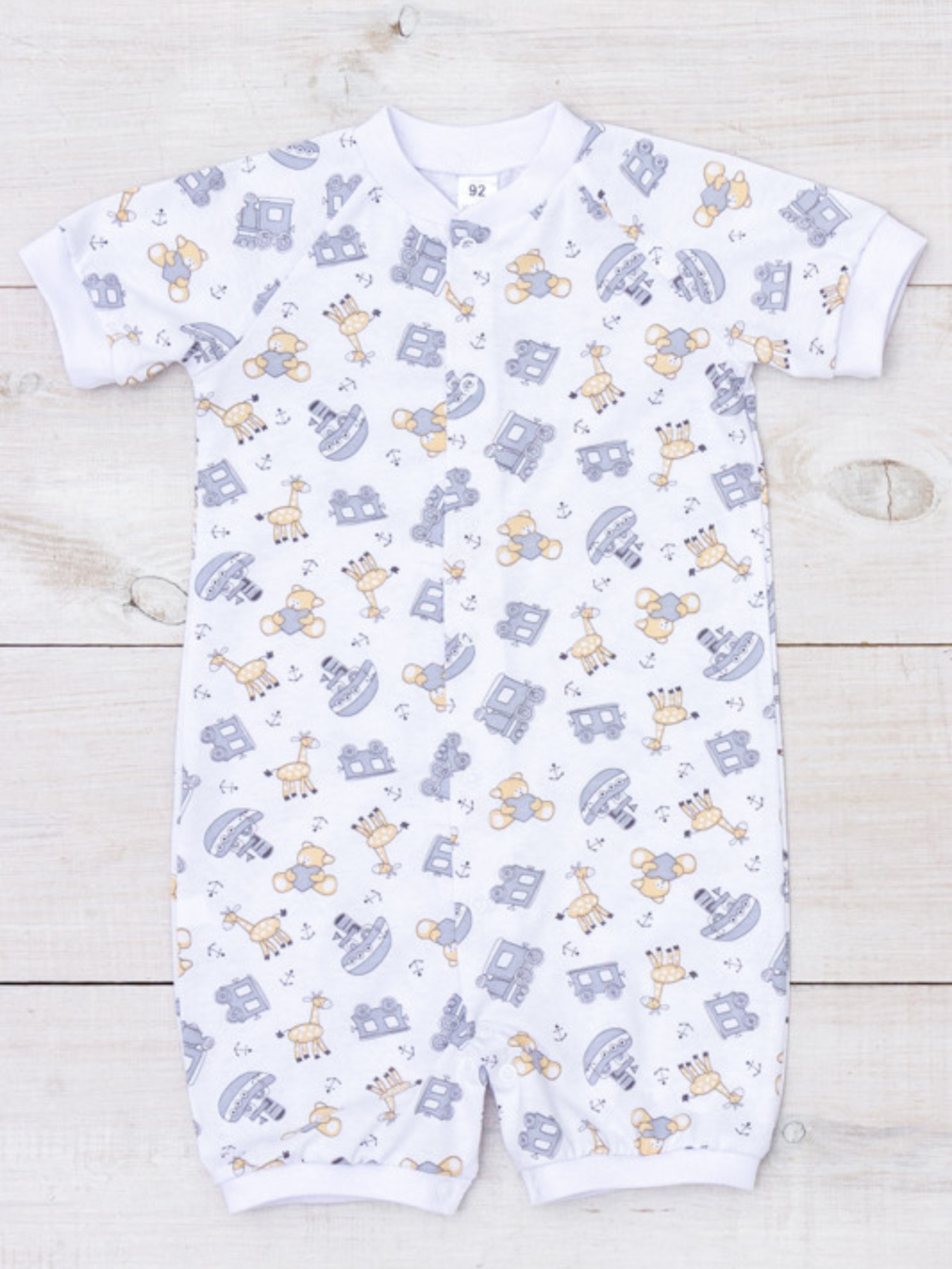 Песочник Носи своє модель 5069-002-4-grashki-blij Фото