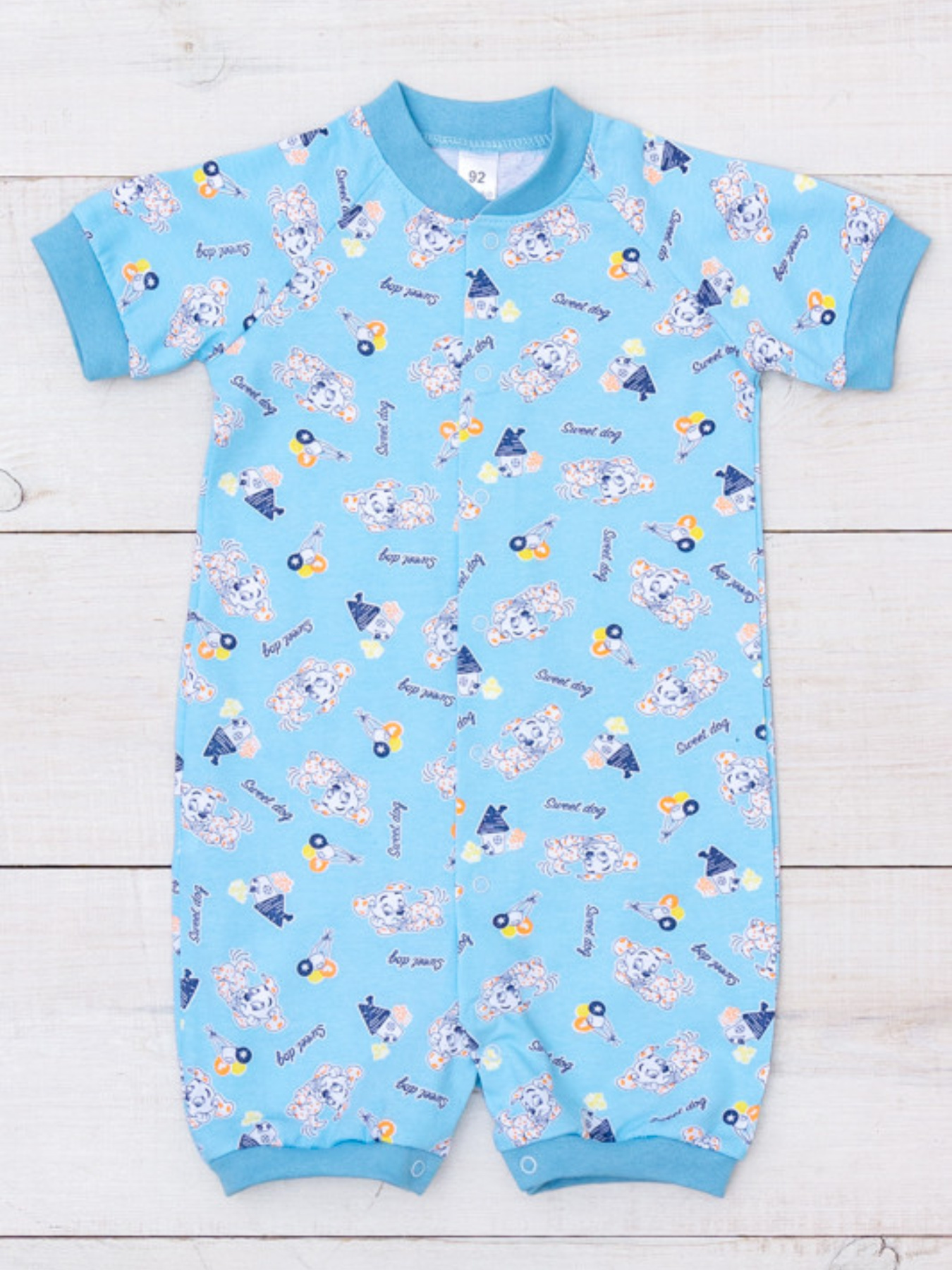 Песочник Носи своє модель 5069-002-4-pesiki-blakitnij Фото