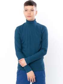 Водолазка Носи своє модель 6238-019-1-murena Фото