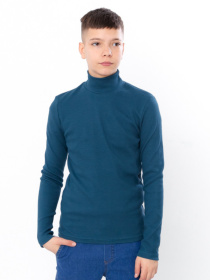 Водолазка Носи своє модель 6238-019-1-murena Водолазка Носи своє модель 6238-019-1-murena Фото