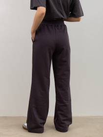 Брюки повседневные Famo модель BR-081_02 Фото