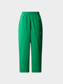 Брюки The North Face модель NF0A8769PO81 Фото