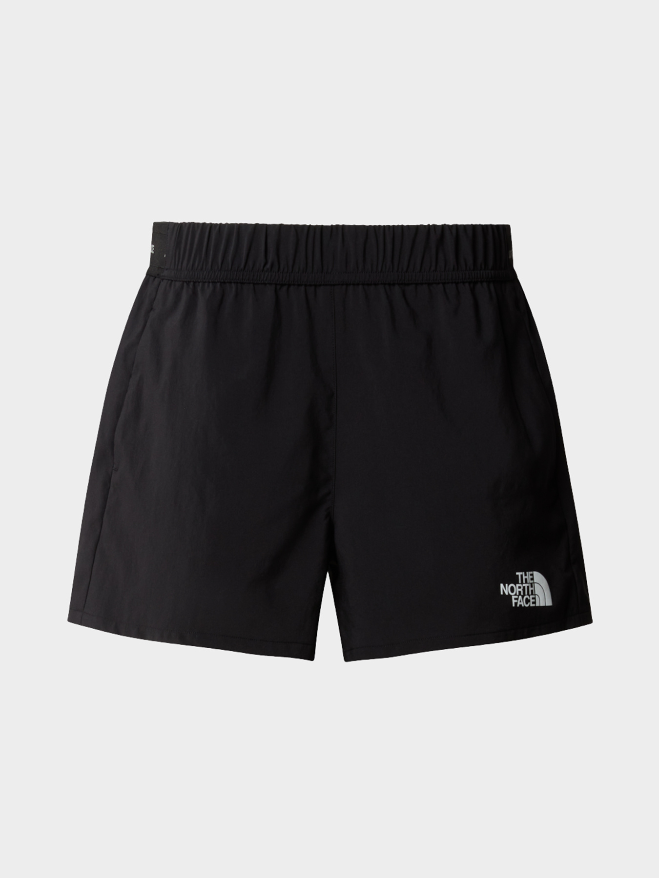 Шорты The North Face модель NF0A87G6JK31 Фото