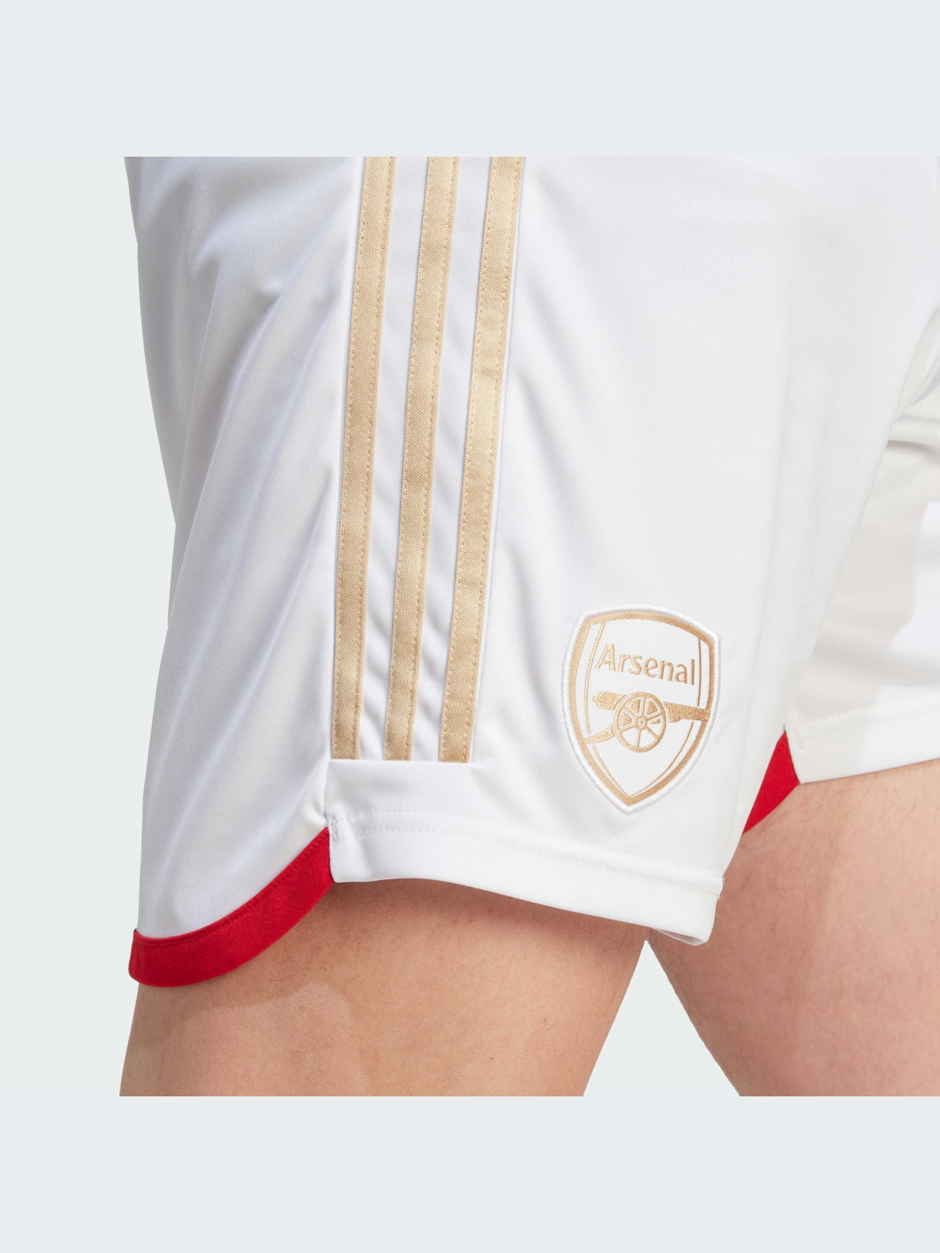 Шорты спортивные Adidas модель HR6924 Фото