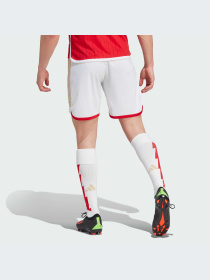 Шорты спортивные Adidas модель HR6924 Фото