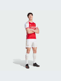 Шорты спортивные Adidas модель HR6924 Фото