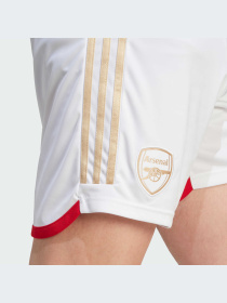 Шорты спортивные Adidas модель HR6924 Фото