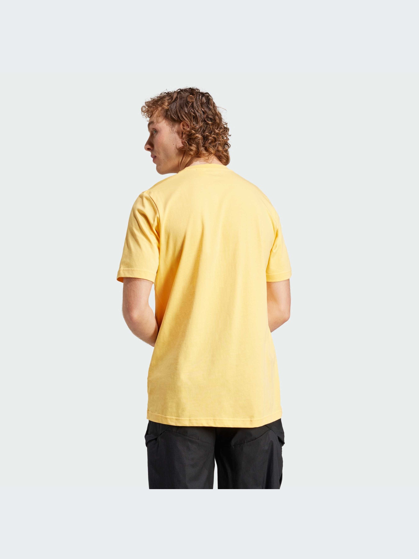 Футболка Adidas модель IN4687 Фото