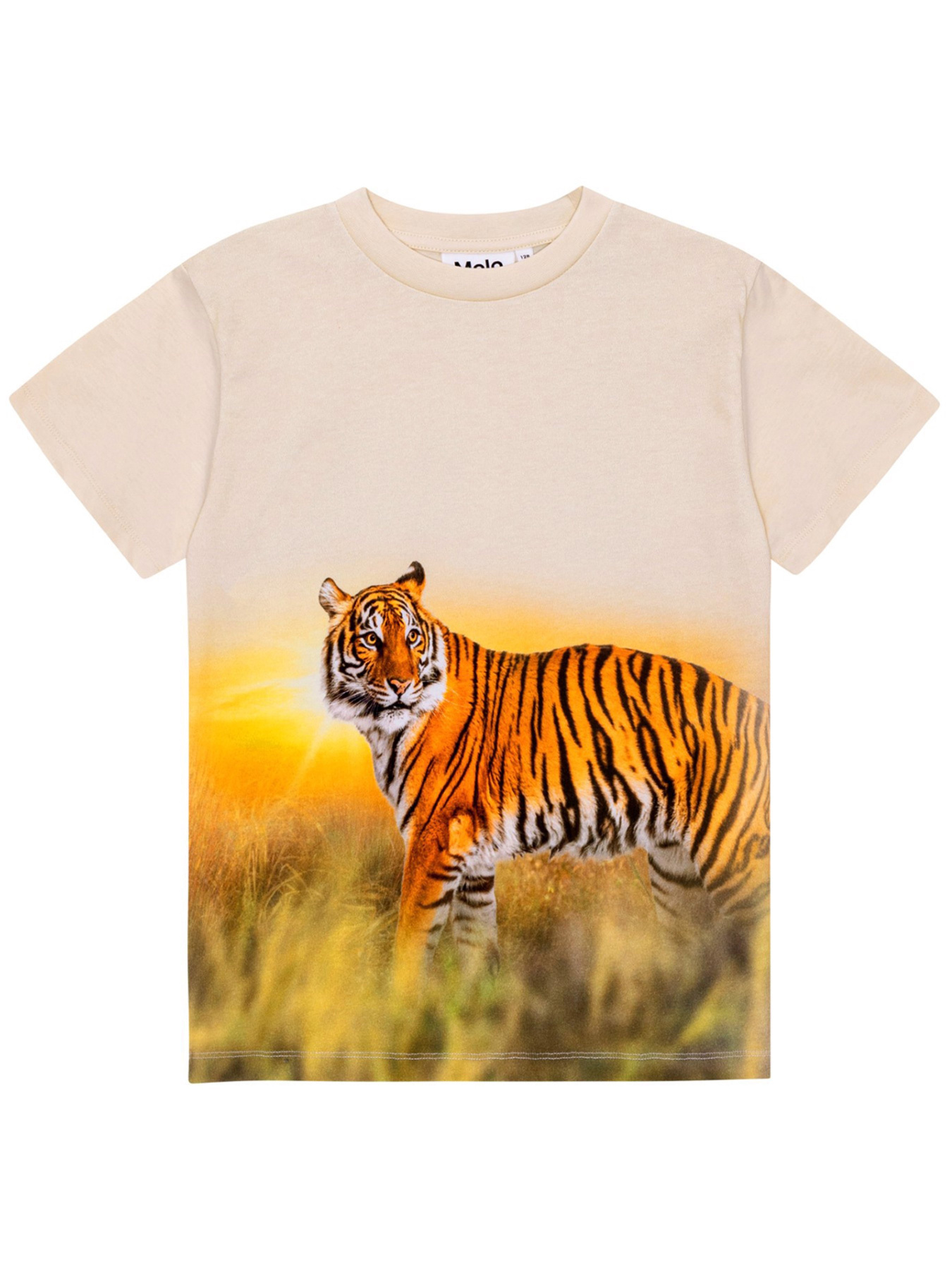 Футболка Molo модель 1S24A207.3541 Фото