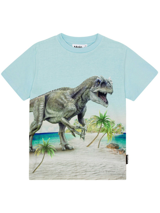 Футболка Molo модель 1S24A207.3565 Фото