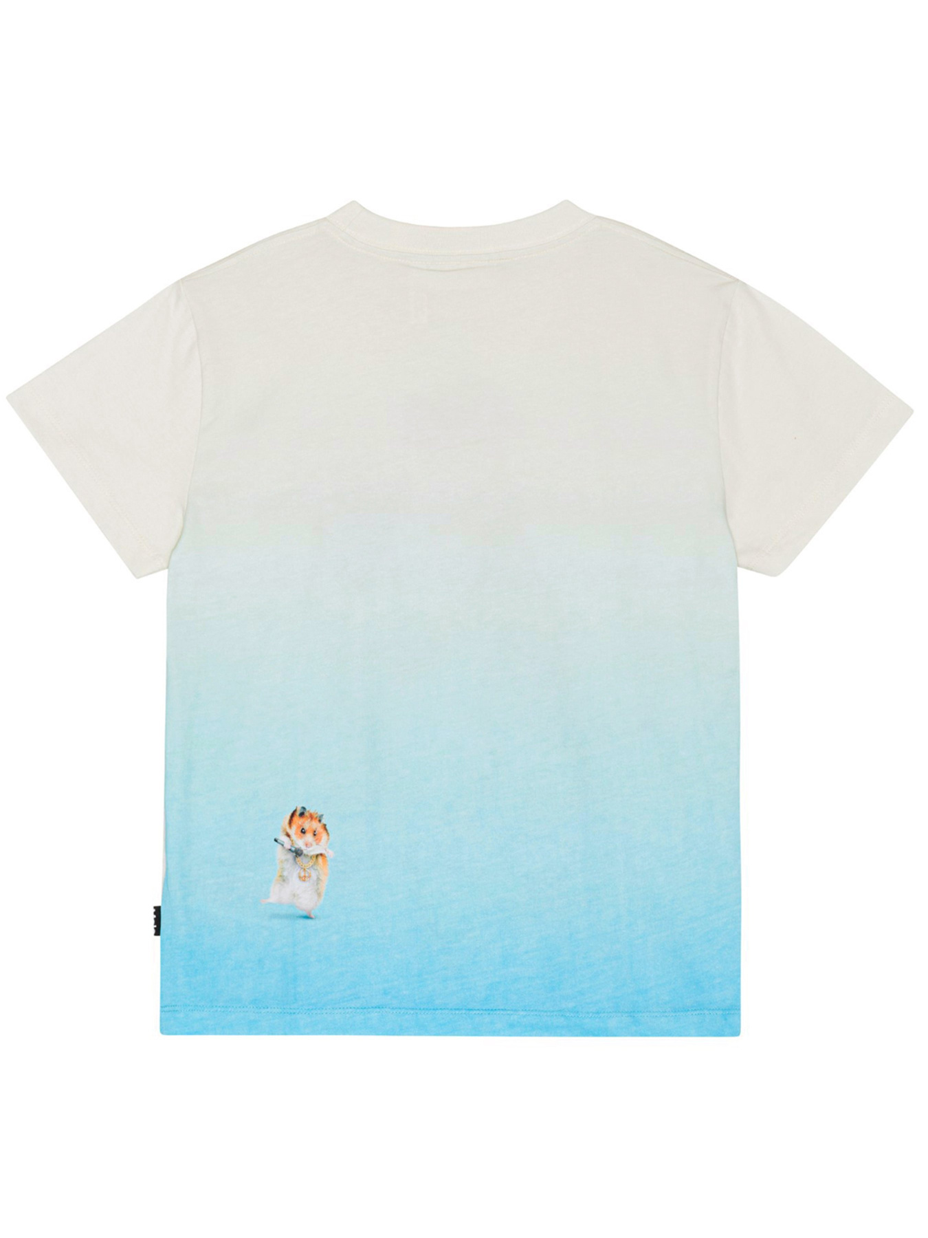 Футболка Molo модель 1S24A222.3590 Фото