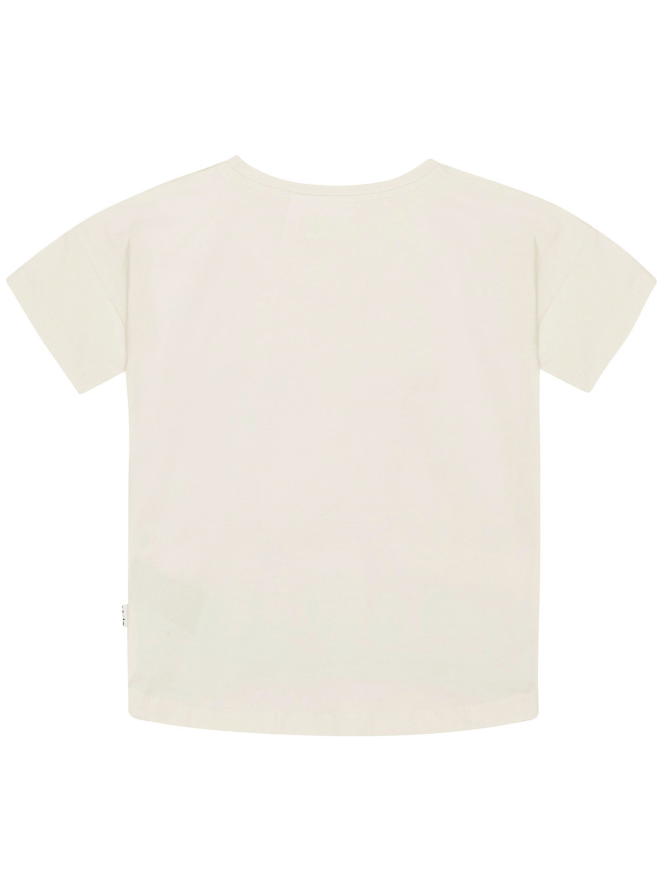 Футболка Molo модель 2S24A207.3586 Фото