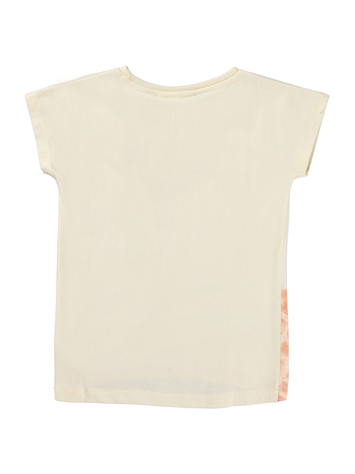 Футболка Molo модель 2S24A201.3414 Фото