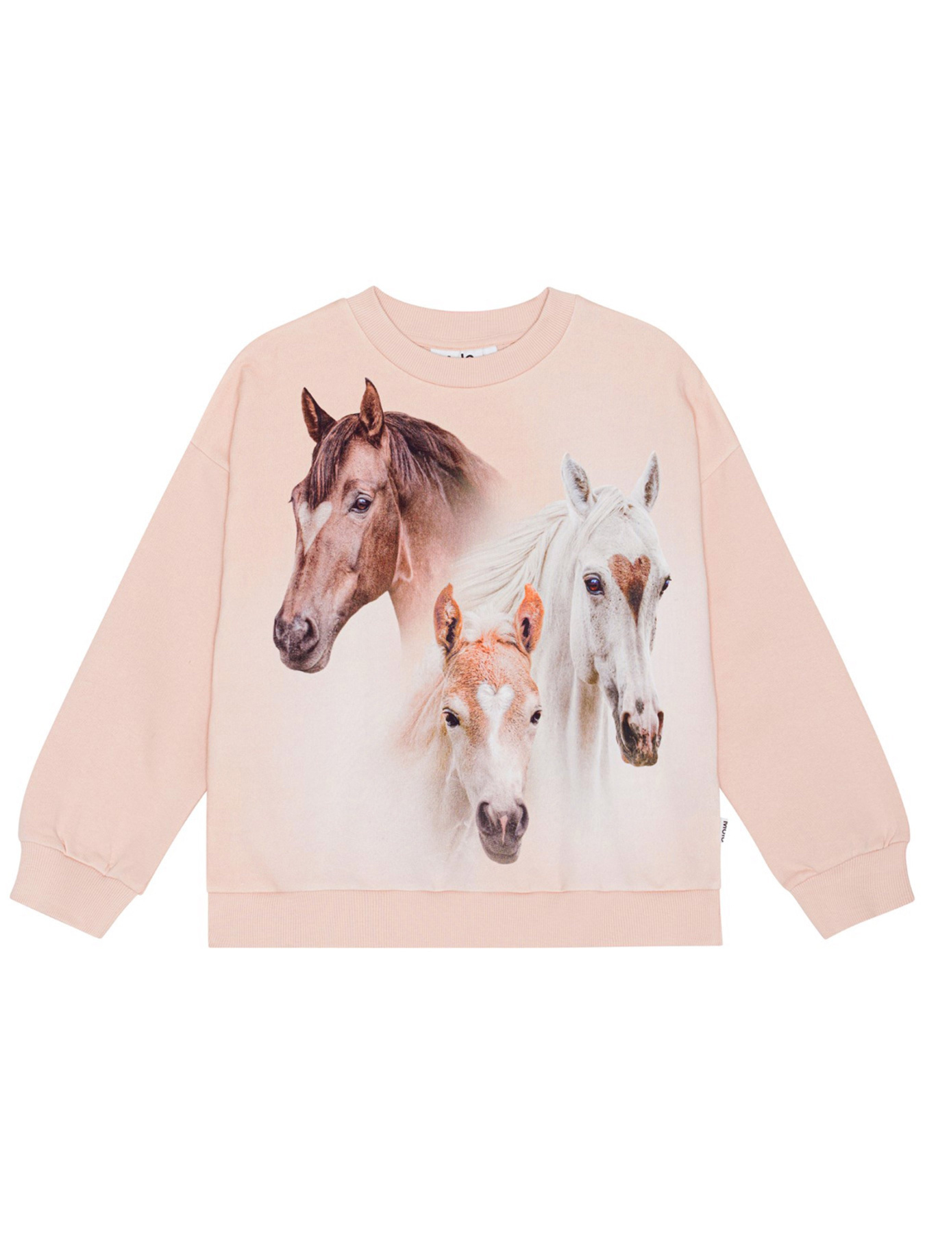 Свитшот Molo модель 2S24J206.3511 Фото