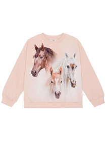 Свитшот Molo модель 2S24J206.3511 Фото