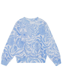 Світшот Molo модель 2S24J205.9033 Фото