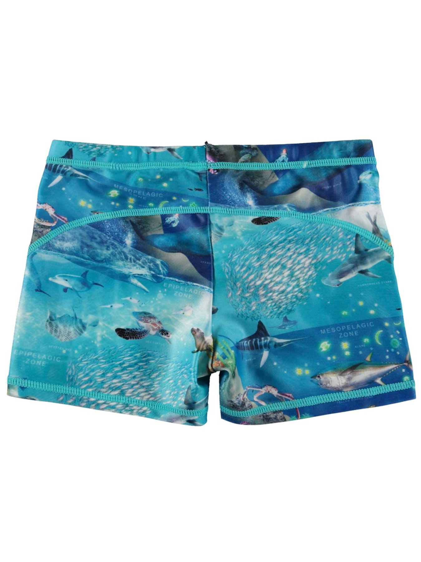 Плавки Molo Модель 8S24P303.9001 Фото