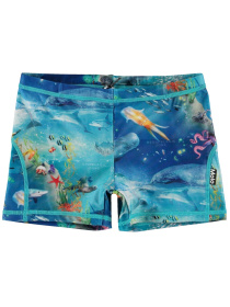 Плавки Molo модель 8S24P303.9001 Фото