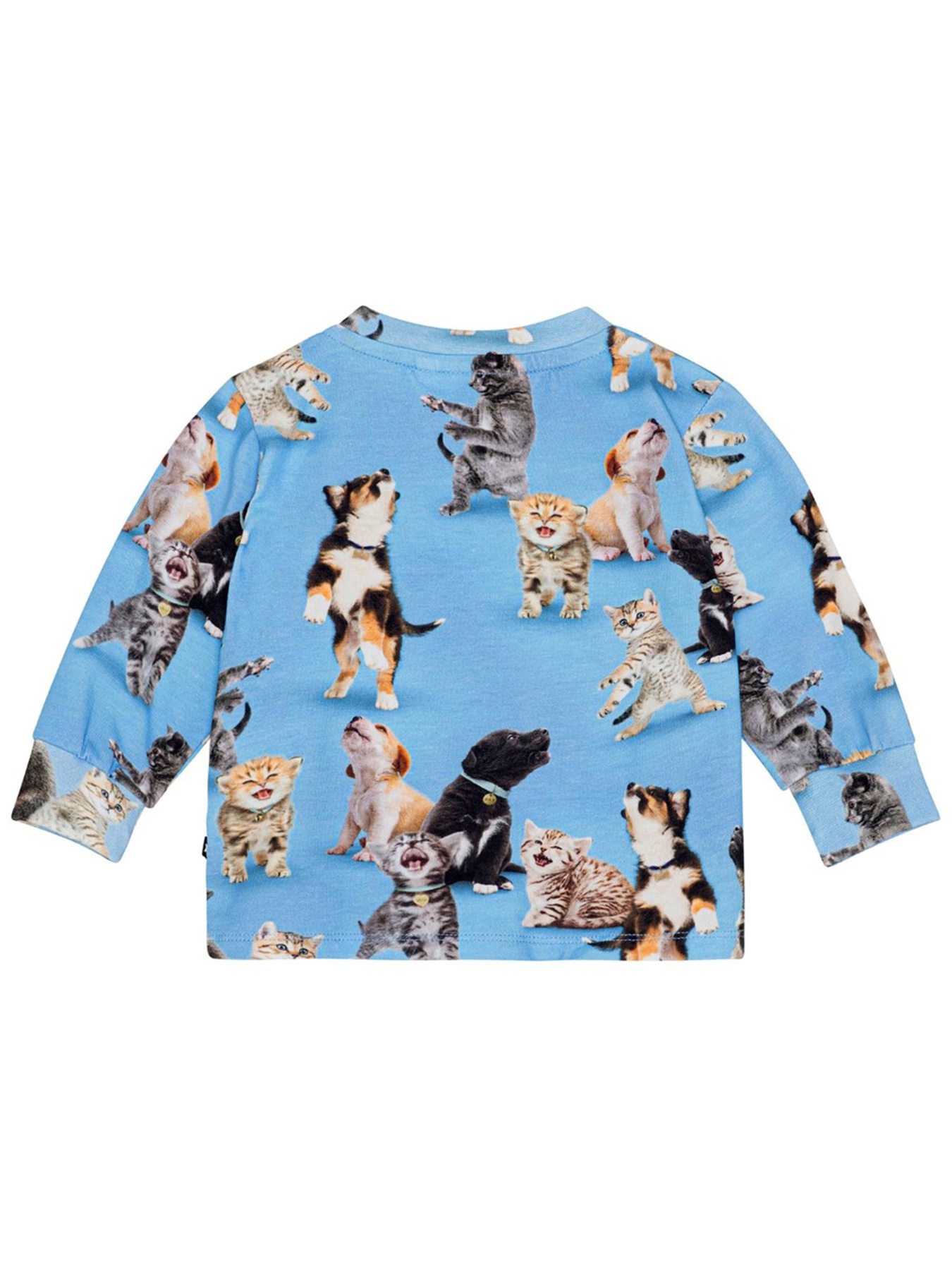 Світшот Molo модель 6S24A403.8922 Світшот Molo модель 6S24A403.8922 Фото