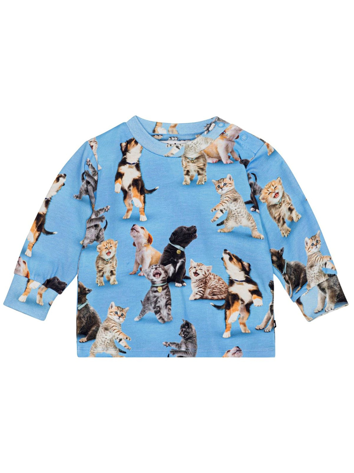 Світшот Molo модель 6S24A403.8922 Світшот Molo модель 6S24A403.8922 Фото