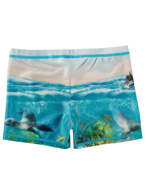 Плавки Molo Модель 8S24P304.3427 Фото