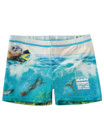 Плавки Molo модель 8S24P304.3427 Плавки Molo модель 8S24P304.3427 Фото