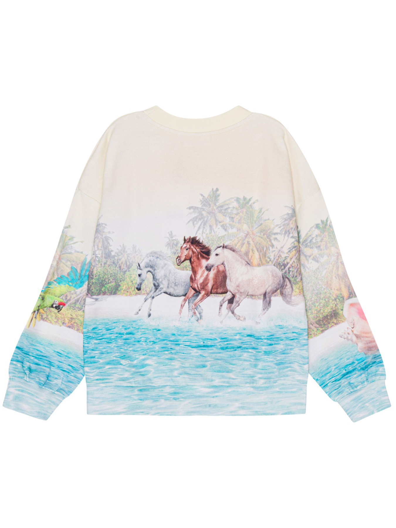 Свитшот Molo модель 2S24J215.3549 Фото