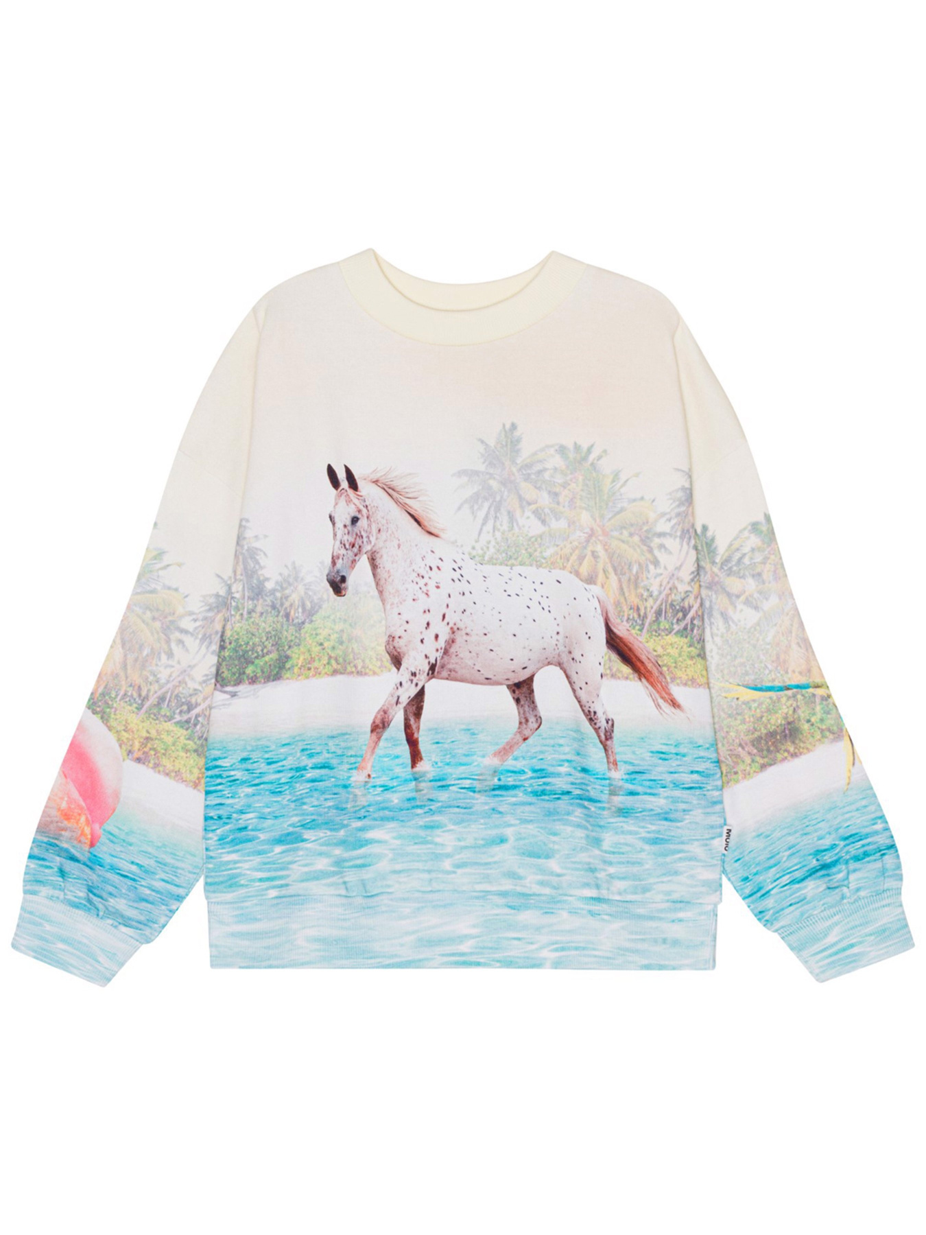 Свитшот Molo модель 2S24J215.3549 Фото