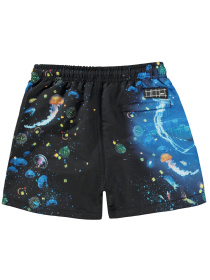 Шорты для плавания Molo модель 8S24P403.3422 Фото