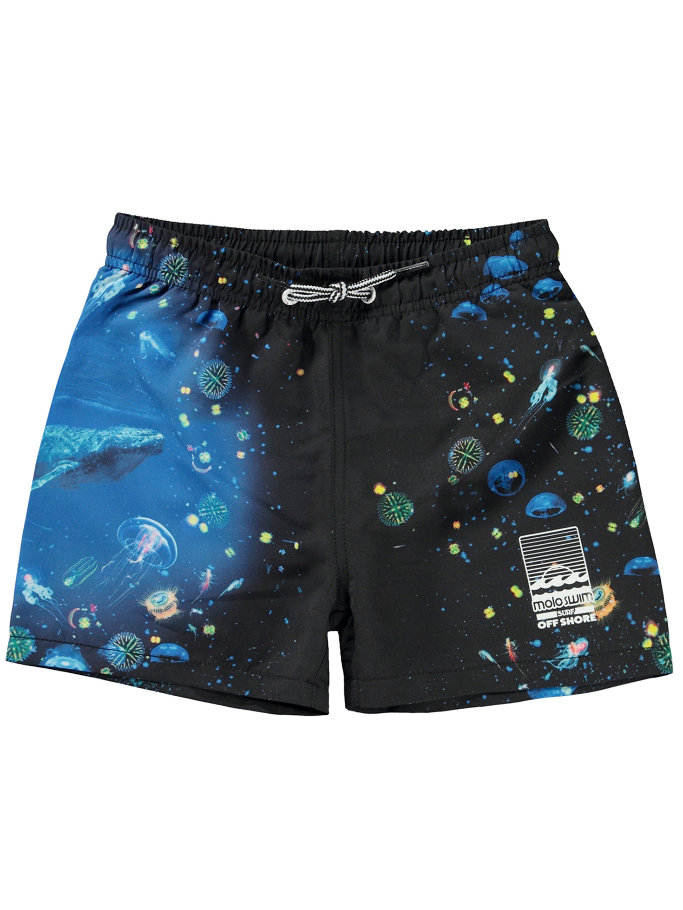 Шорты для плавания Molo модель 8S24P403.3422 Фото