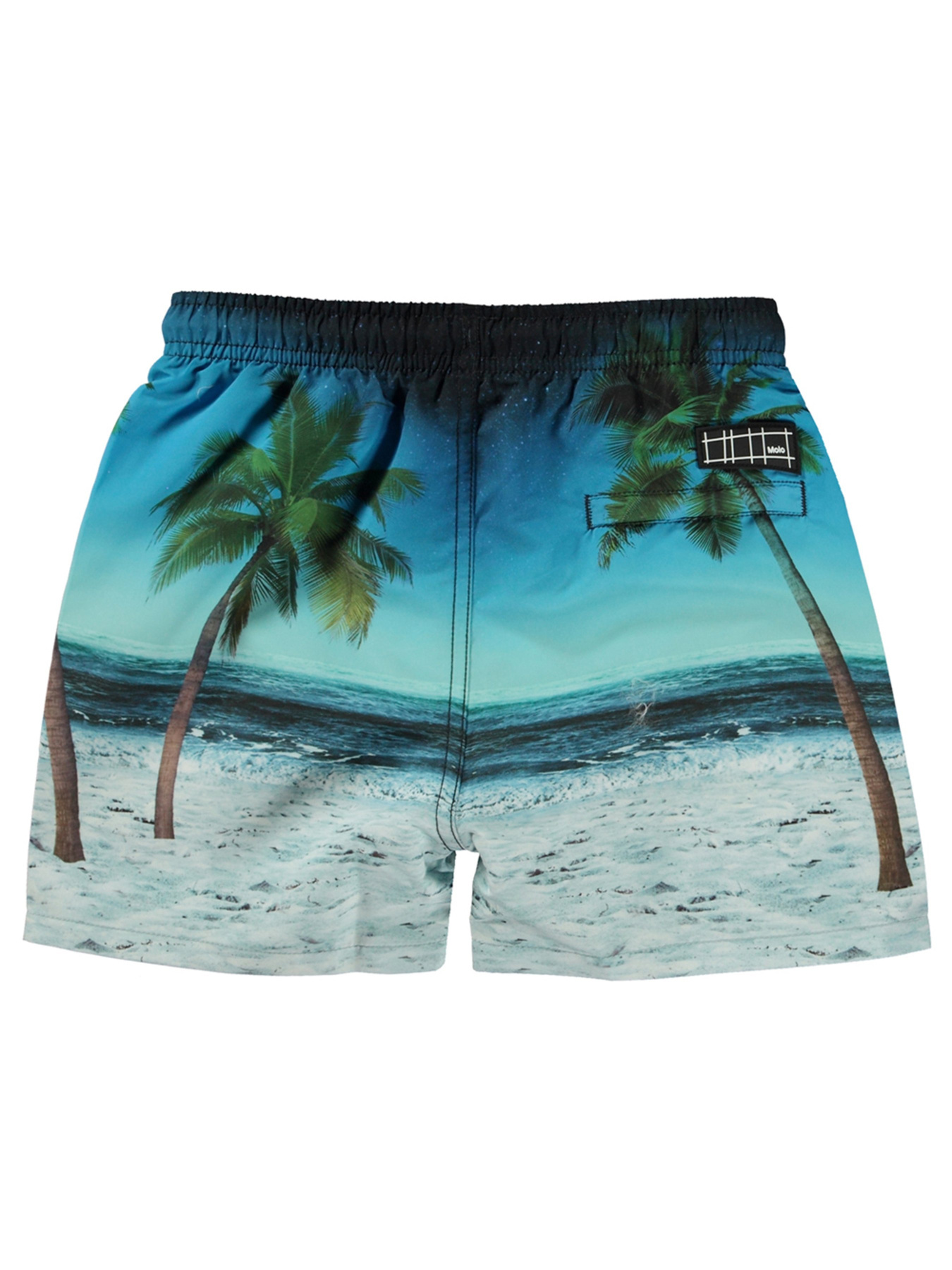 Шорты для плавания Molo модель 8S24P403.3430 Фото