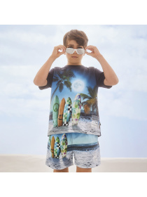 Шорты для плавания Molo модель 8S24P403.3430 Фото