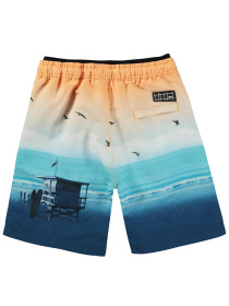 Шорти для плавання Molo Модель 8S24P406.3416 Фото