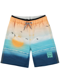 Шорты для плавания Molo модель 8S24P406.3416 Фото