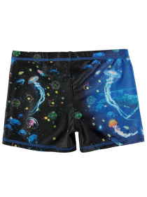 Плавки Molo модель 8S24P304.3422 Фото