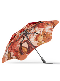 Парасолька Blunt модель 001020 Фото