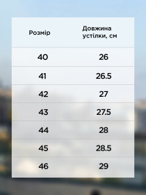 Кроссовки Arber модель M30.16.12.411 Фото