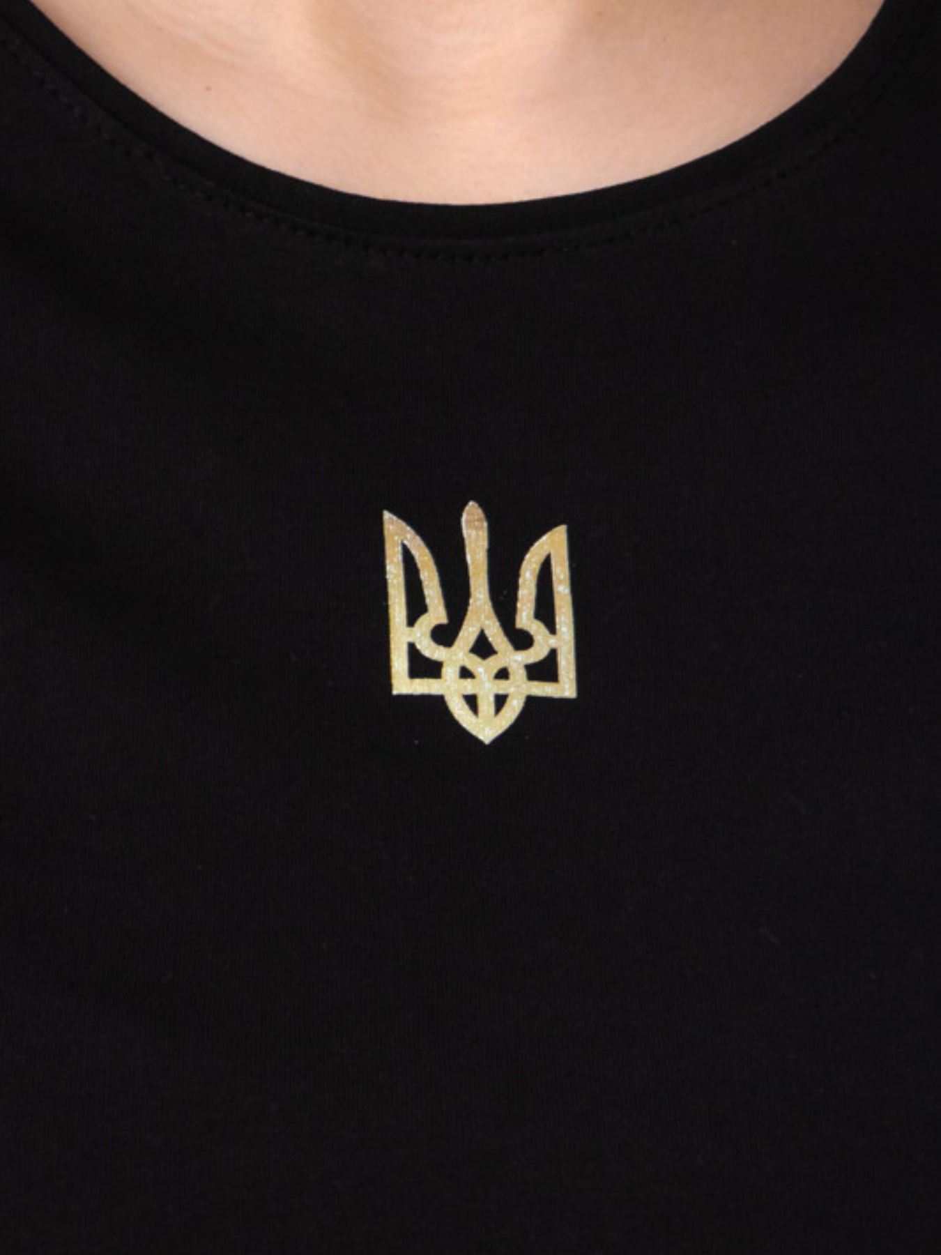 Футболка Носи своє модель 8188-2-gerb-zoloto Фото