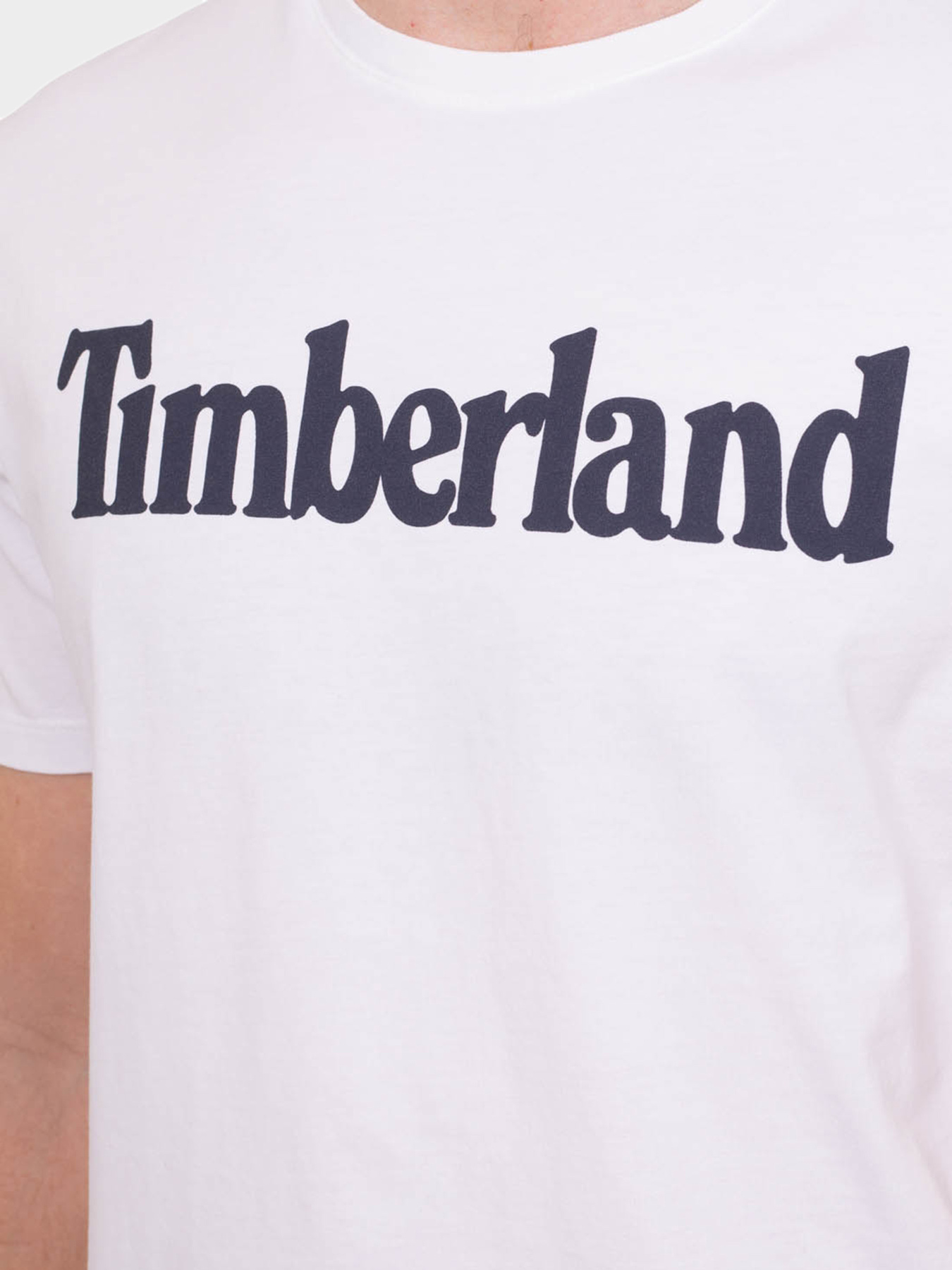 Футболки и поло Timberland модель TB0A2BRN1001 Фото