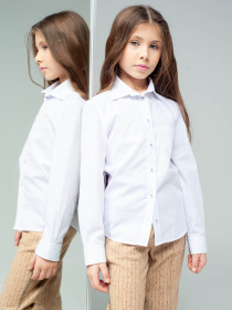 Сорочка повсякденна Alnest модель ALN104 Фото