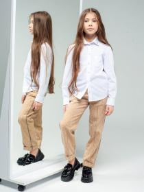 Сорочка повсякденна Alnest модель ALN104 Фото