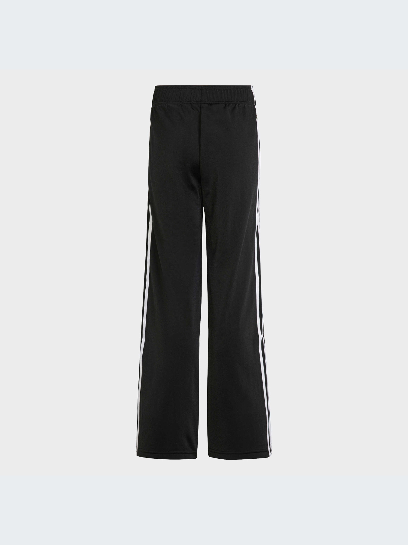 Штани повсякденні Adidas Adicolor модель HK0347 Фото