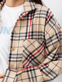 Рубашка Famo модель RA-165_01 Фото