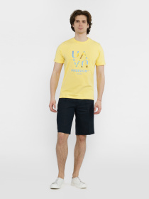 Повсякденні шорти Arber модель M29.30.09.421 Фото