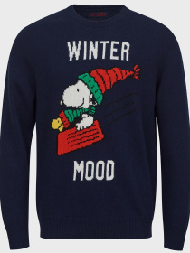 Джемпер MC2 SAINT BARTH модель HER0001.SNSL61 Фото